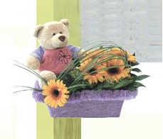 Bear With Flower Arrangement